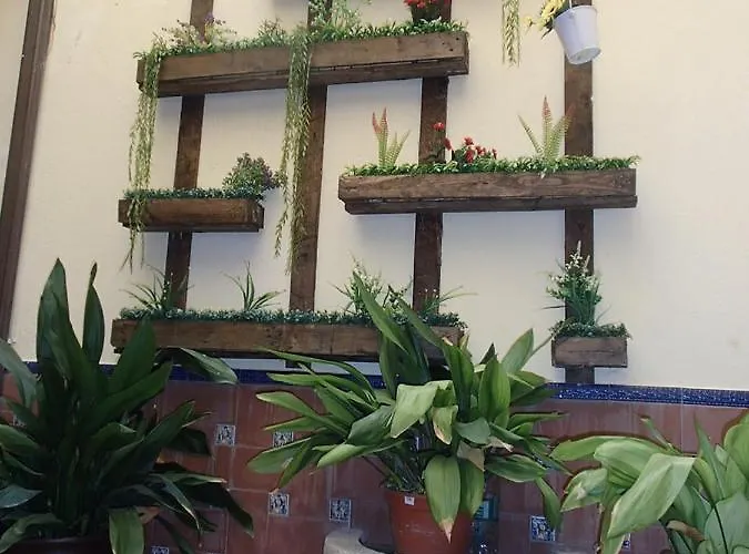 Апартаменты El Aljibe De La Luz